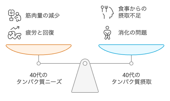 40代のタンパク質ニーズと摂取のバランスを取る