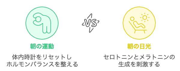 睡眠の質を向上させるための最適な朝の活動はどれですか?