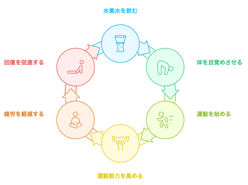 水素水の習慣サイクル