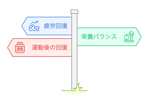 どのサプリメントを選ぶべきか？