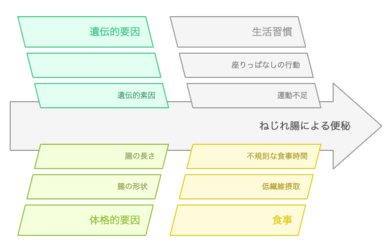 ねじれ腸による便秘の原因