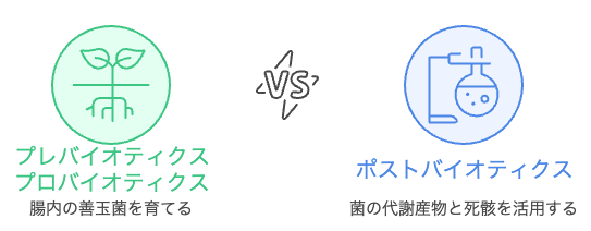 腸の健康を改善するための最適なアプローチを選択してください