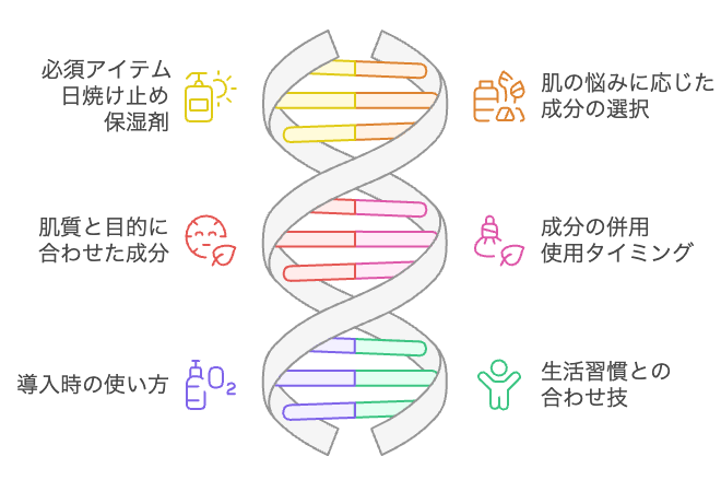 エイジングケアの基礎
