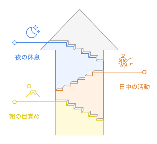 睡眠と運動の相乗効果を達成する