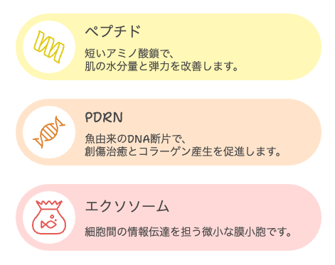スキンケア成分