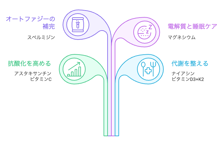 断食中のサプリメント戦略