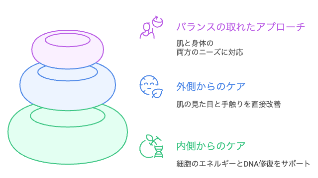 エイジングケアのピラミッド