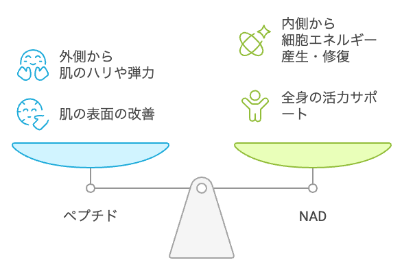 外側と内側からのエイジングケアのバランス