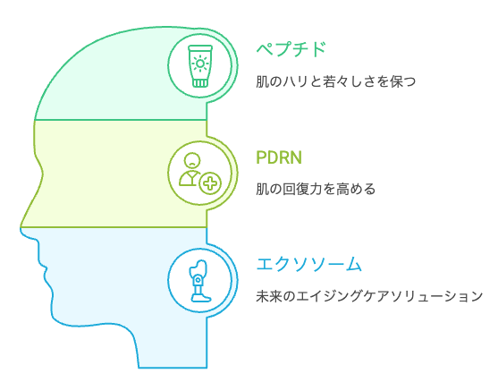 スキンケア成分の概要