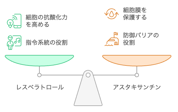 レスベラトロールとアスタキサンチンの相乗効果