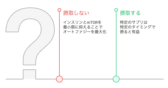 オートファジーを最大化