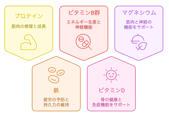 40代の疲れのサプリ