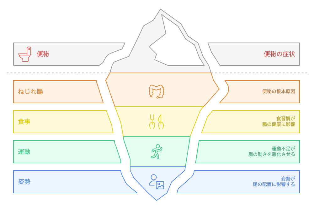 便秘の隠れた原因：ねじれ腸