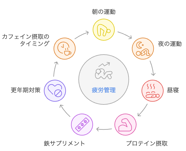 40代の疲労管理サイクル