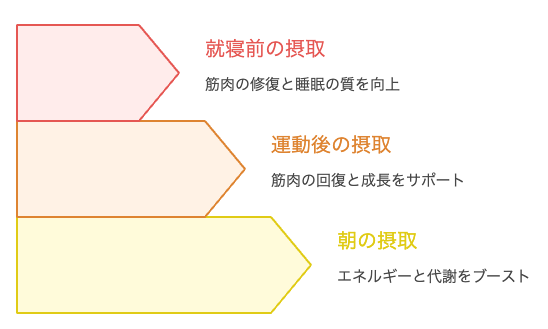 プロテイン摂取タイミングのピラミッド