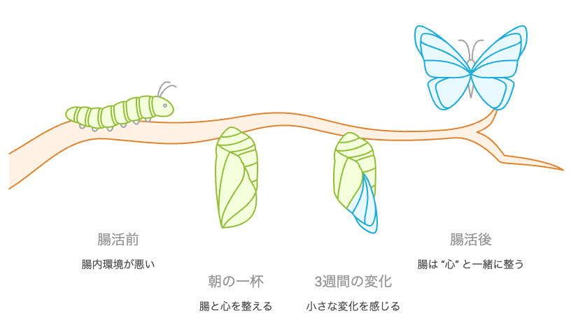 腸活の旅