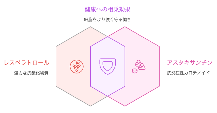 細胞をより強く守る働き