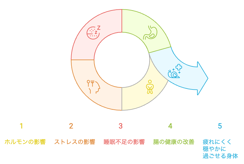 腸の健康サイクル