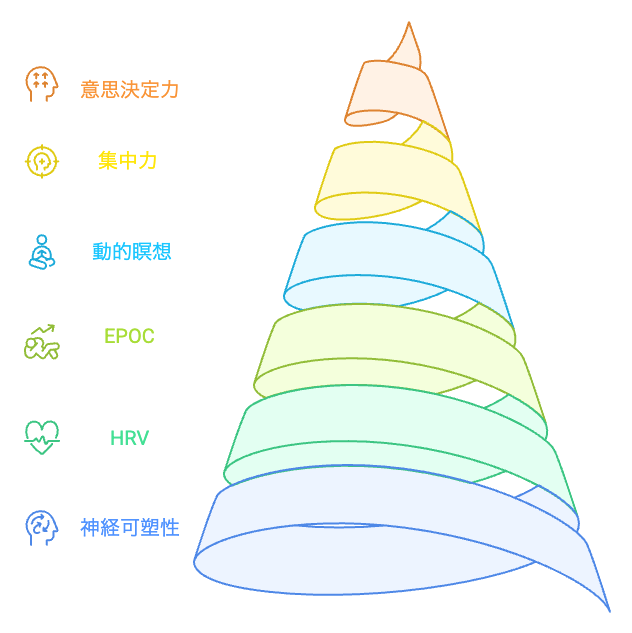 脳の強化ピラミッド