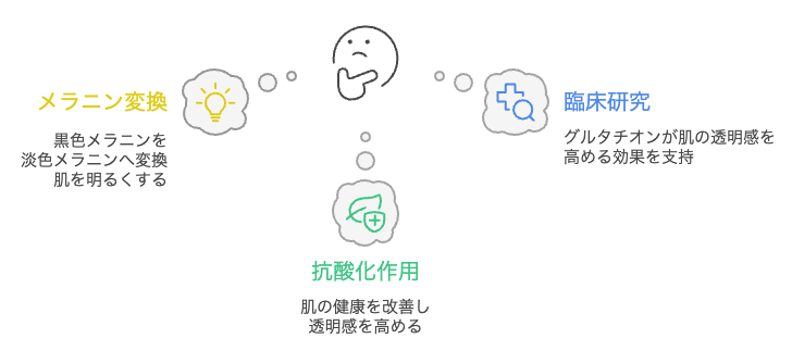 グルタチオンは肌を白くするのに効果的ですか？