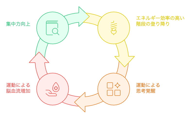 階段運動のサイクル