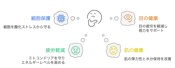 アスタキサンチンを摂取すべきか?