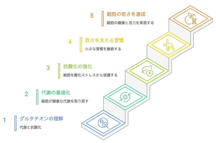 細胞の若さを達成する