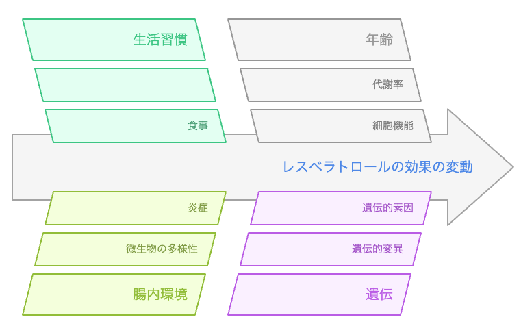 レスベラトロールの効果に影響を与える要因
