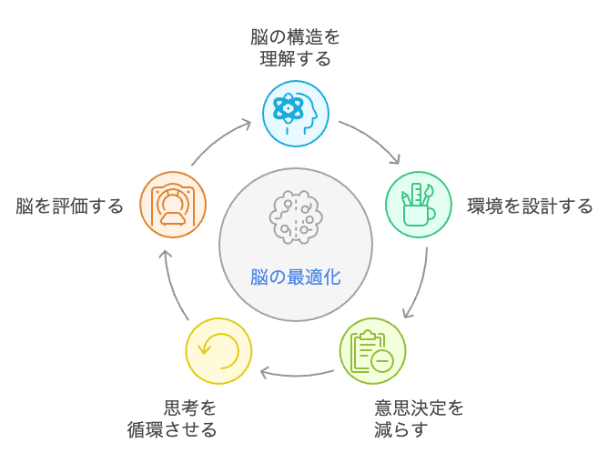 脳の最適化サイクル