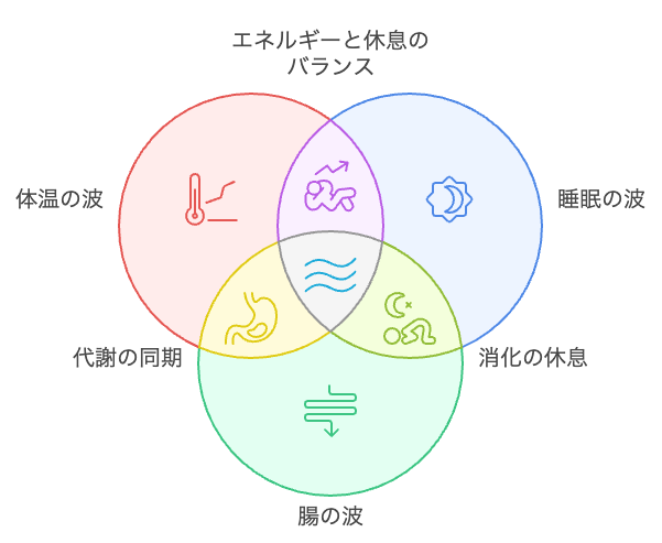 身体の調和の波形
