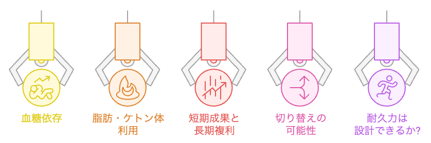 代謝柔軟性の構造図