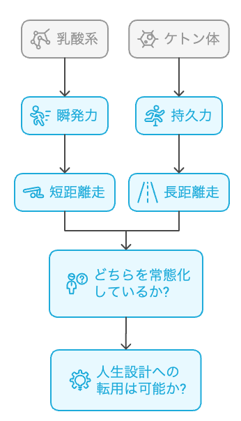乳酸系とケトン体の二重回路構造図