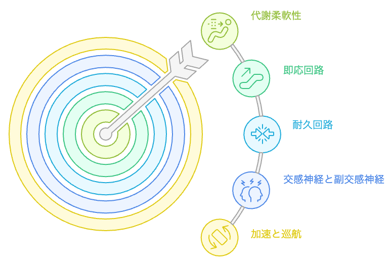 代謝柔軟性の概念図