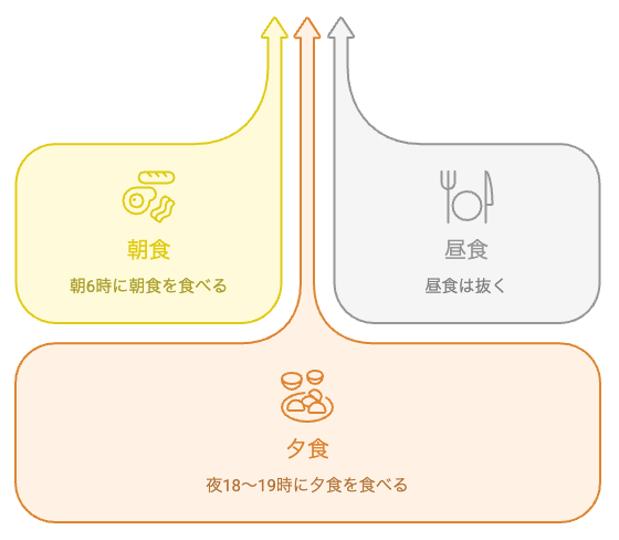 1日2食(朝晩2食)の食事時間と空腹時間帯を示した図