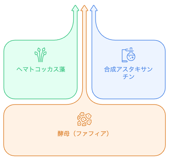 アスタキサンチンの原料別の違いを示す比較図
