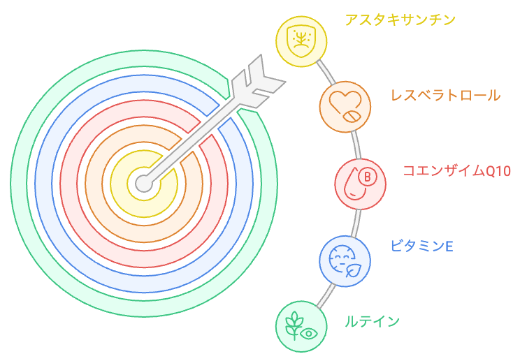 アスタキサンチンと相性のよい併用成分の関係図