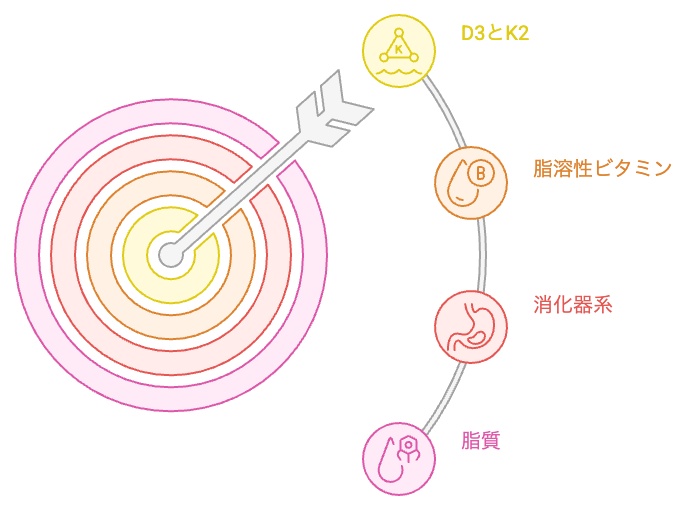 ビタミンD3とK2の同時摂取と分割摂取の比較フロー図